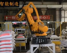 ESTUN 双抓手码垛机器人-在饲料生产线中的码垛应用